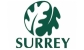 Amendments to Surrey Council's budget