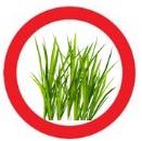 Grasstoolong