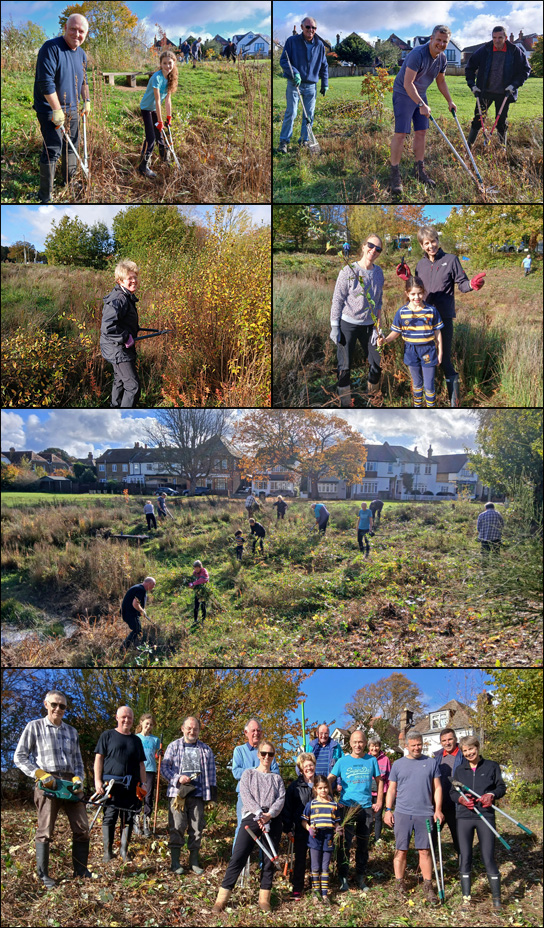 Cutback 2025 Montage