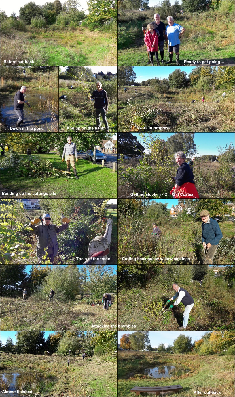 Milbourne Pond cut back 2023