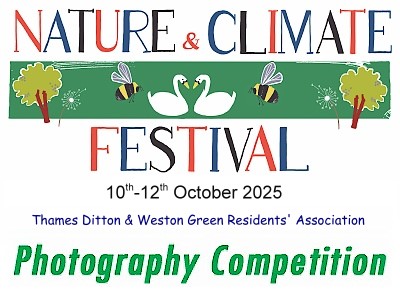 NCF logo 2025 Photo Comp 400 v2
