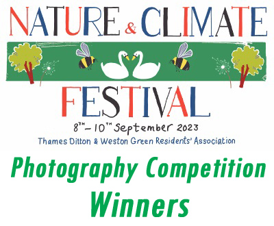 NCF logo 2023 photo winners