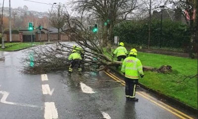 Storm damage