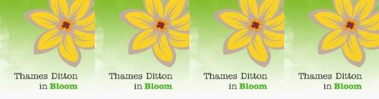 TD in Bloom multiple logo