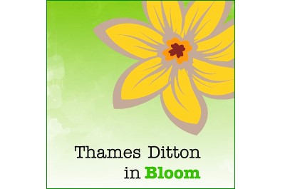 TD in Bloom - Summer planting day